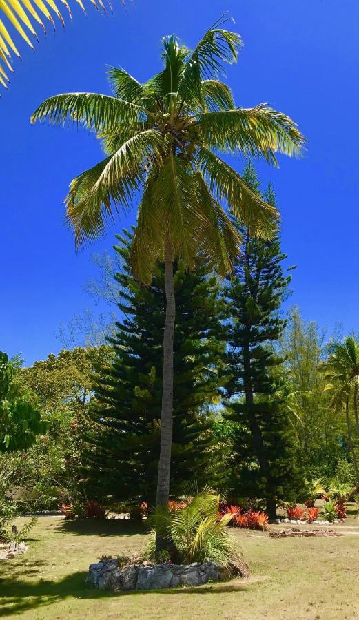 Poponi Cottage Cottage North Palmetto Point Exteriér fotografie